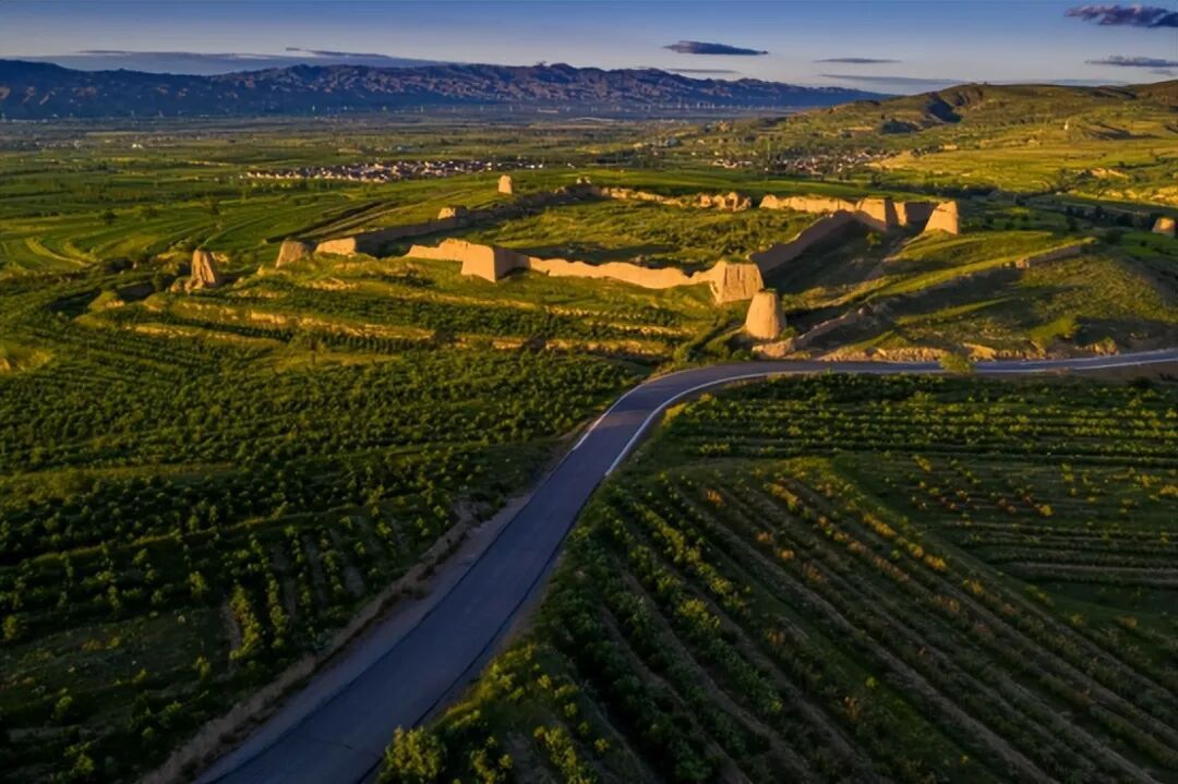 1762147970510005943.jpg 1762147970510005943.jpg