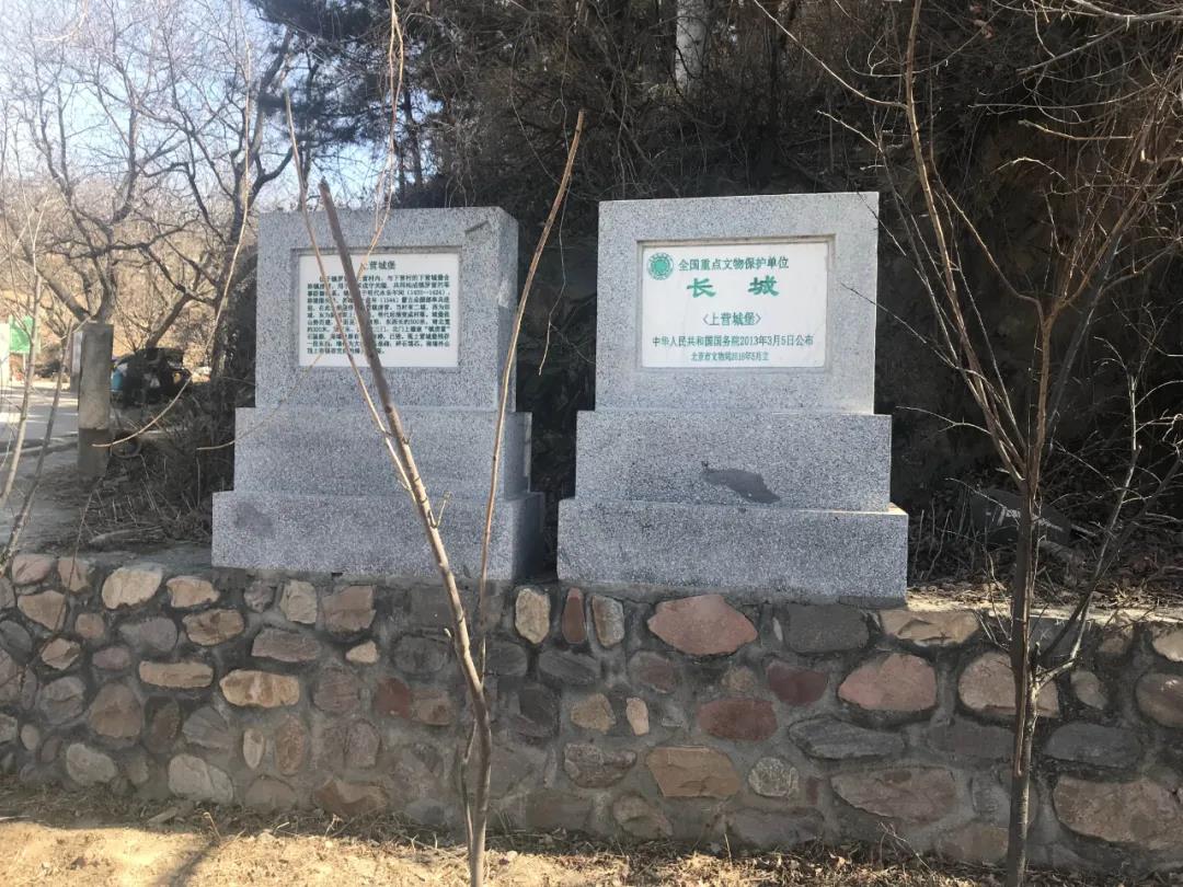 1736404288439029595.jpg