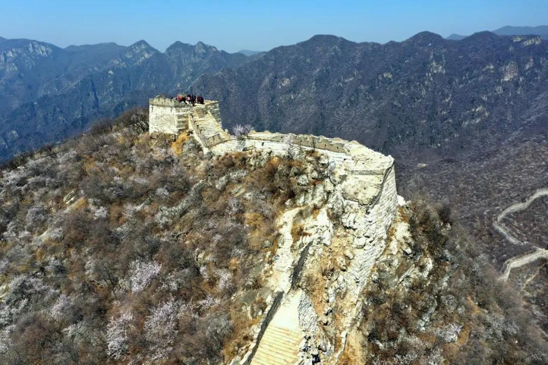微信图片_20211119084753.jpg