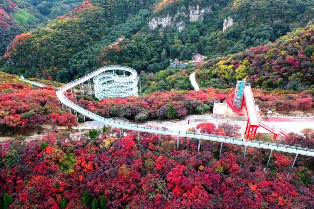 微信图片_20211119111840.jpg